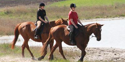 Reiten in Österreich (c) echonet